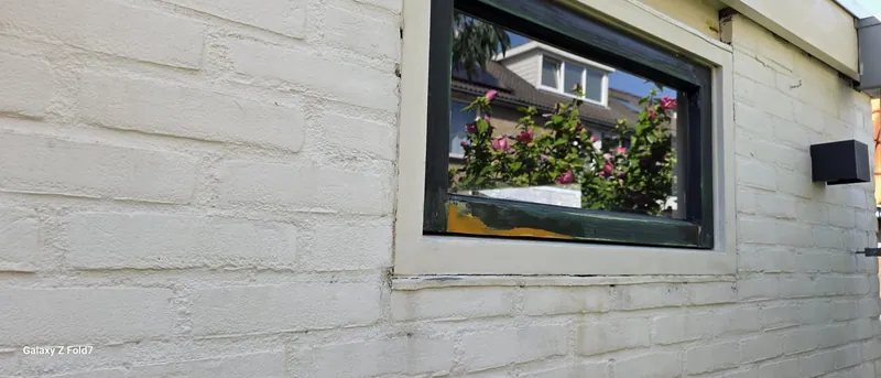 Zwart raamkozijn in een witgepleisterde muur, met een klimroos ernaast.